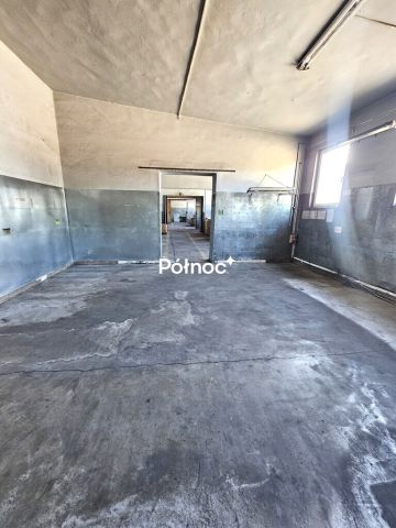 Hala/magazyn Olkusz, ul. Bartosza Głowackiego. Zdjęcie 14
