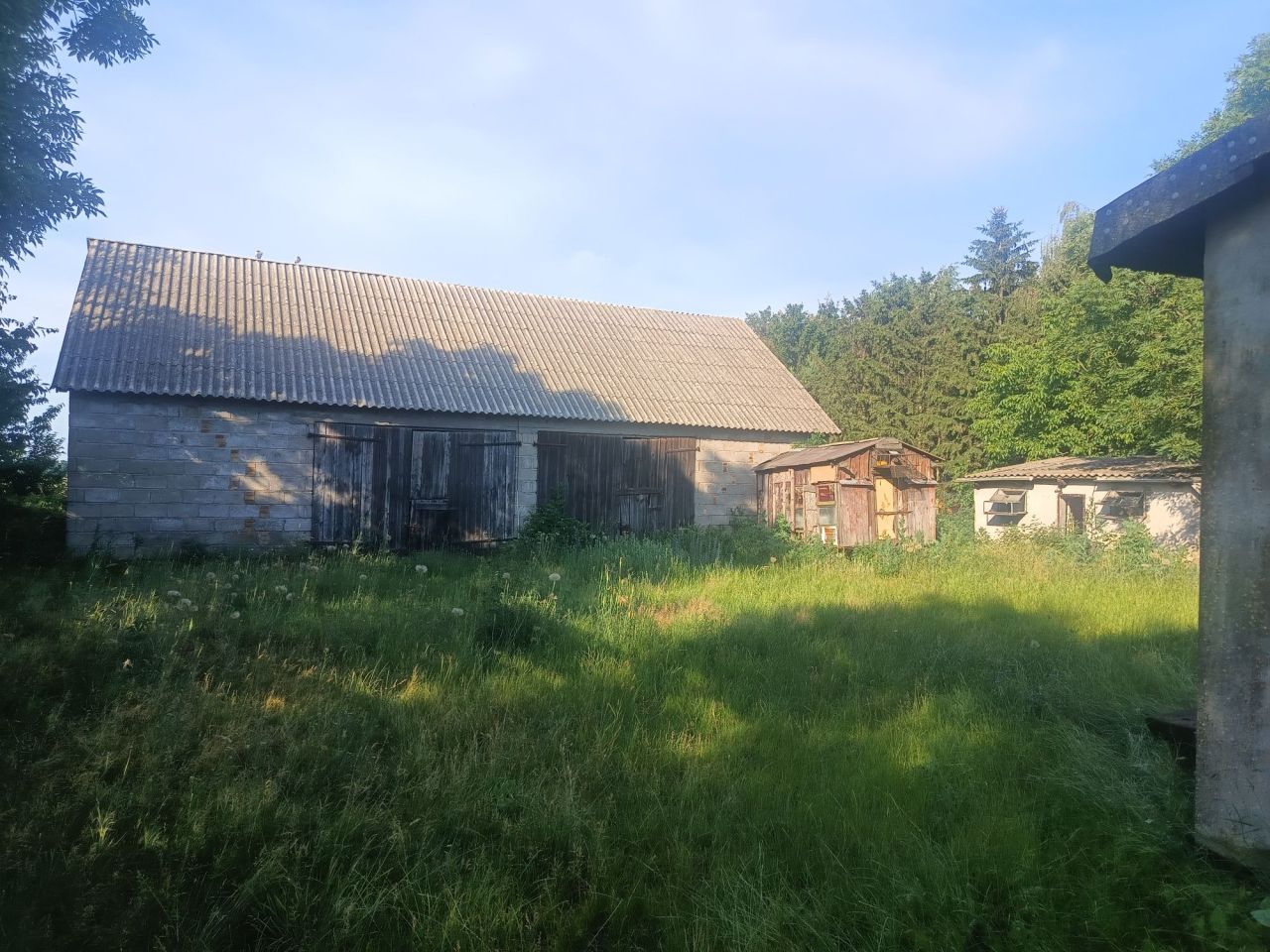 siedlisko Baruchowo. Zdjęcie 4