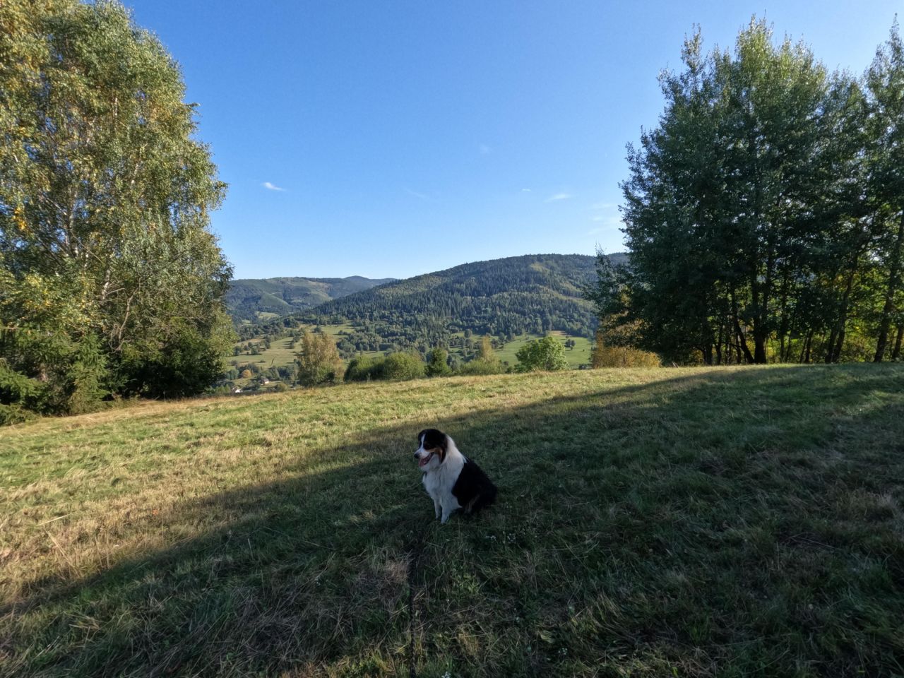 Działka rolna Sól Na Bugaju, Brak ulicy. Zdjęcie 4