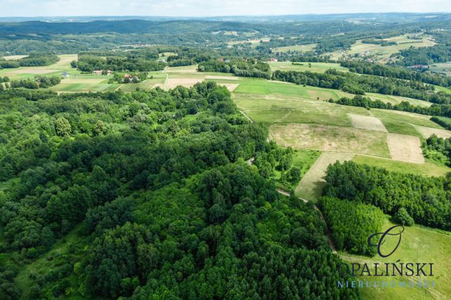 Działka inwestycyjna Straszydle. Zdjęcie 7