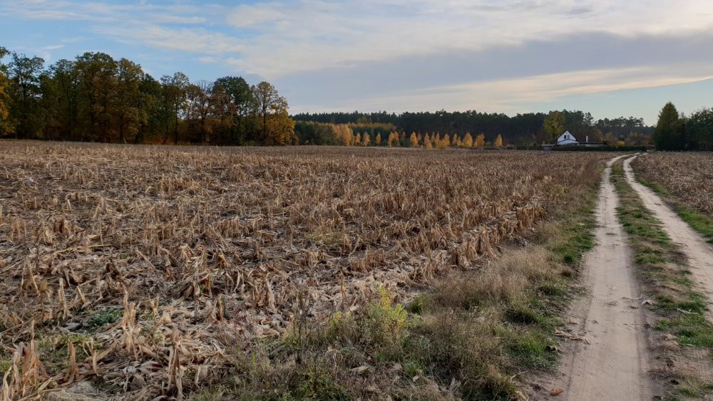 Działka budowlana Dobromierz. Zdjęcie 5