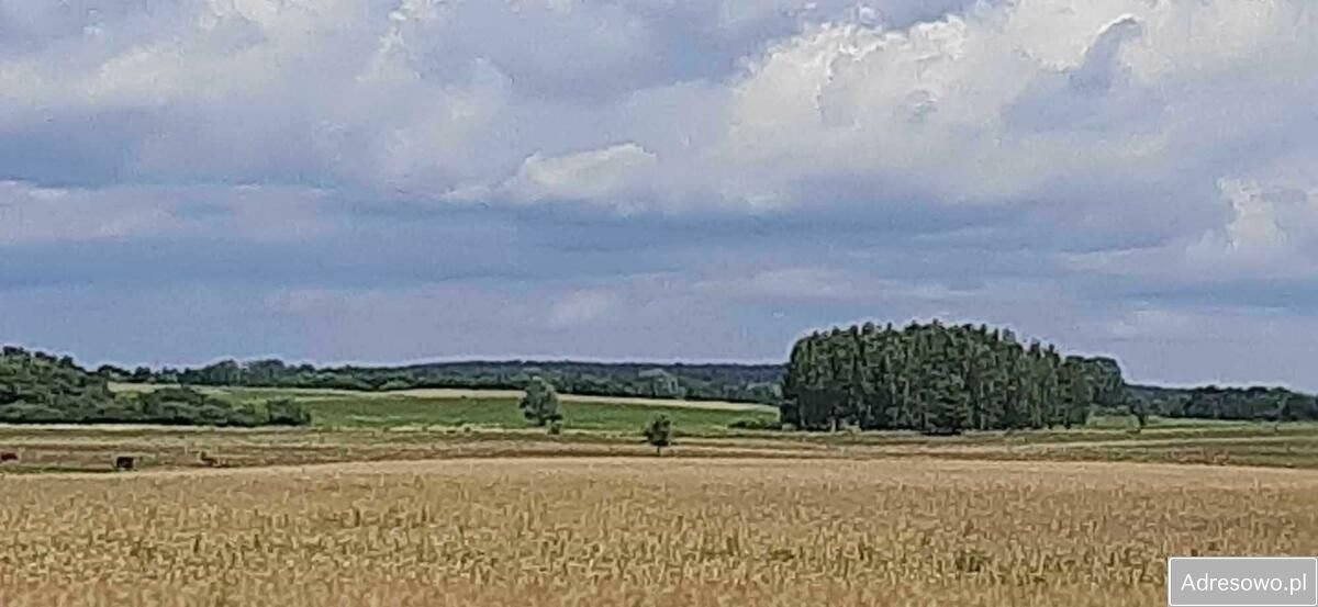 Działka rolna Zdory. Zdjęcie 8