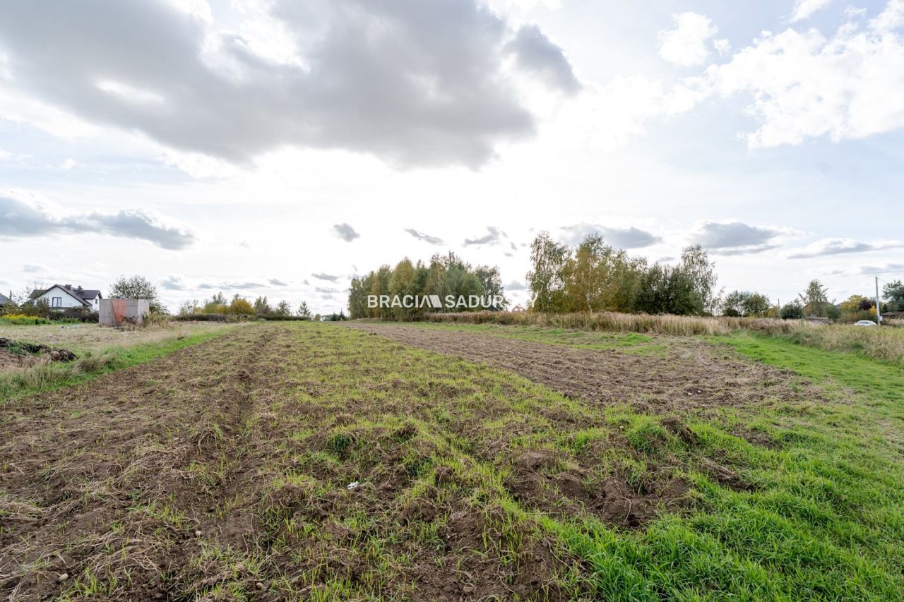 Działka budowlana Cholerzyn. Zdjęcie 2