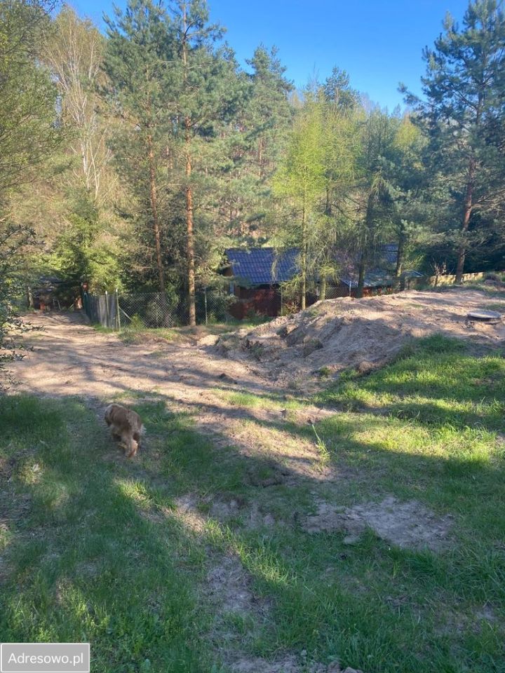 Działka rekreacyjna Kiełpiny. Zdjęcie 4