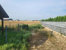 Działka budowlana Konradówka Gołaczów. Zdjęcie 3