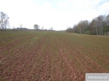 Działka rolna Niwnice. Zdjęcie 4