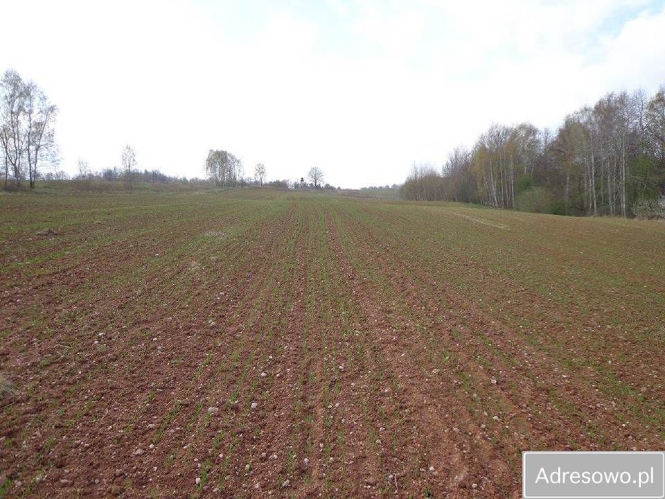 Działka rolna Niwnice. Zdjęcie 5
