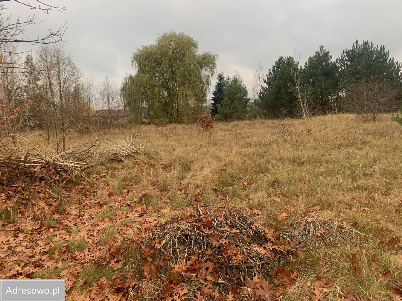 Działka budowlana Grabówiec. Zdjęcie 6