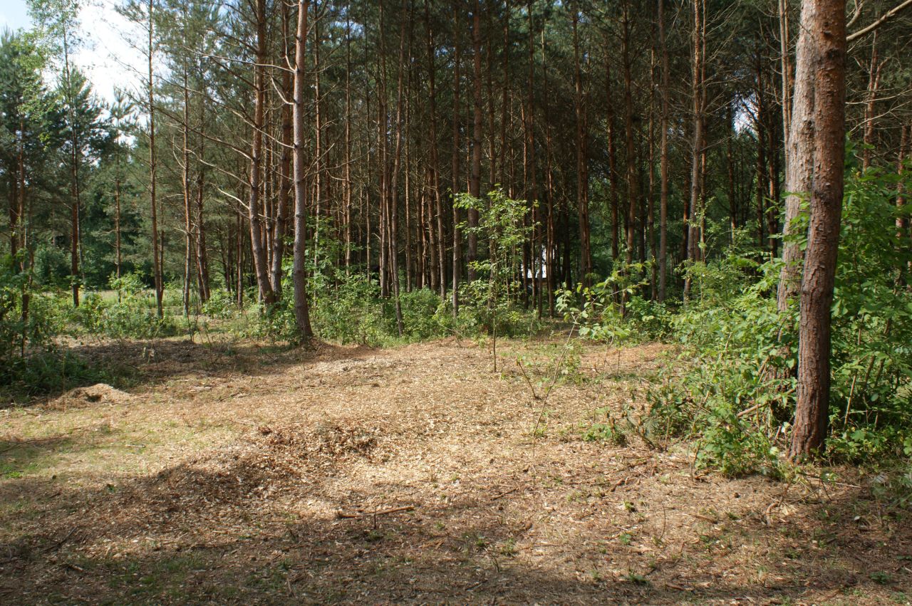 Działka rekreacyjna Czerwona Wola Myszkówka. Zdjęcie 30