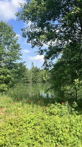 Działka rekreacyjna Osieczna. Zdjęcie 29