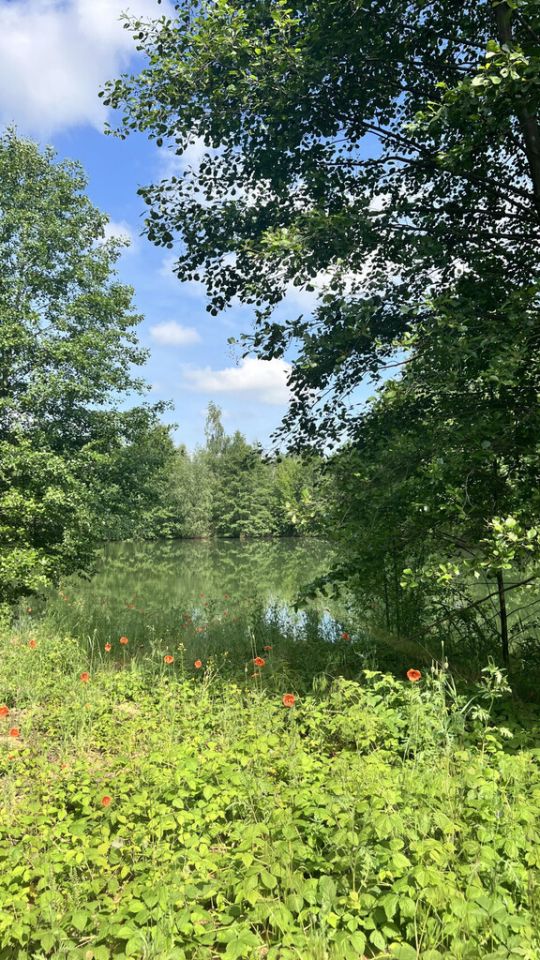 Działka rekreacyjna Osieczna. Zdjęcie 29