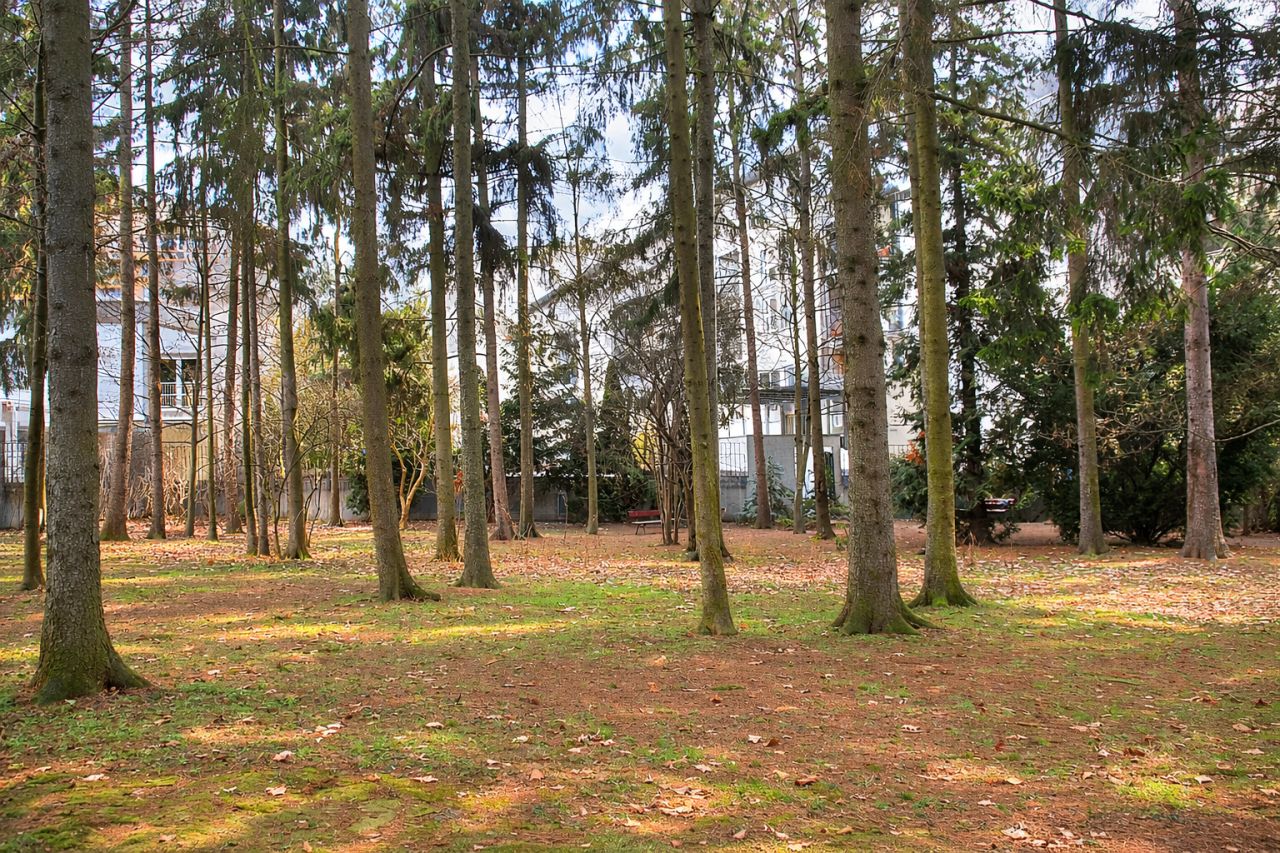 Mieszkanie 3-pokojowe Warszawa Praga-Południe, ul. Libijska. Zdjęcie 2