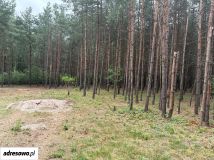 Działka rekreacyjna Adamowo. Zdjęcie 3