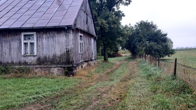 Działka siedliskowa Łoje-Awissa. Zdjęcie 1