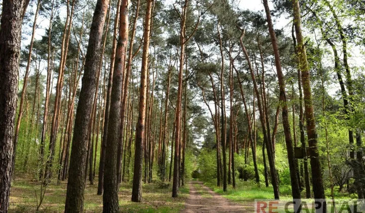 Działka budowlana Zielonki-Wieś