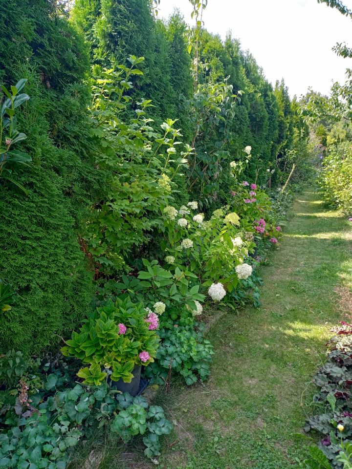Działka rekreacyjna Wrocław Bierdzany, ul. Nizinna. Zdjęcie 16