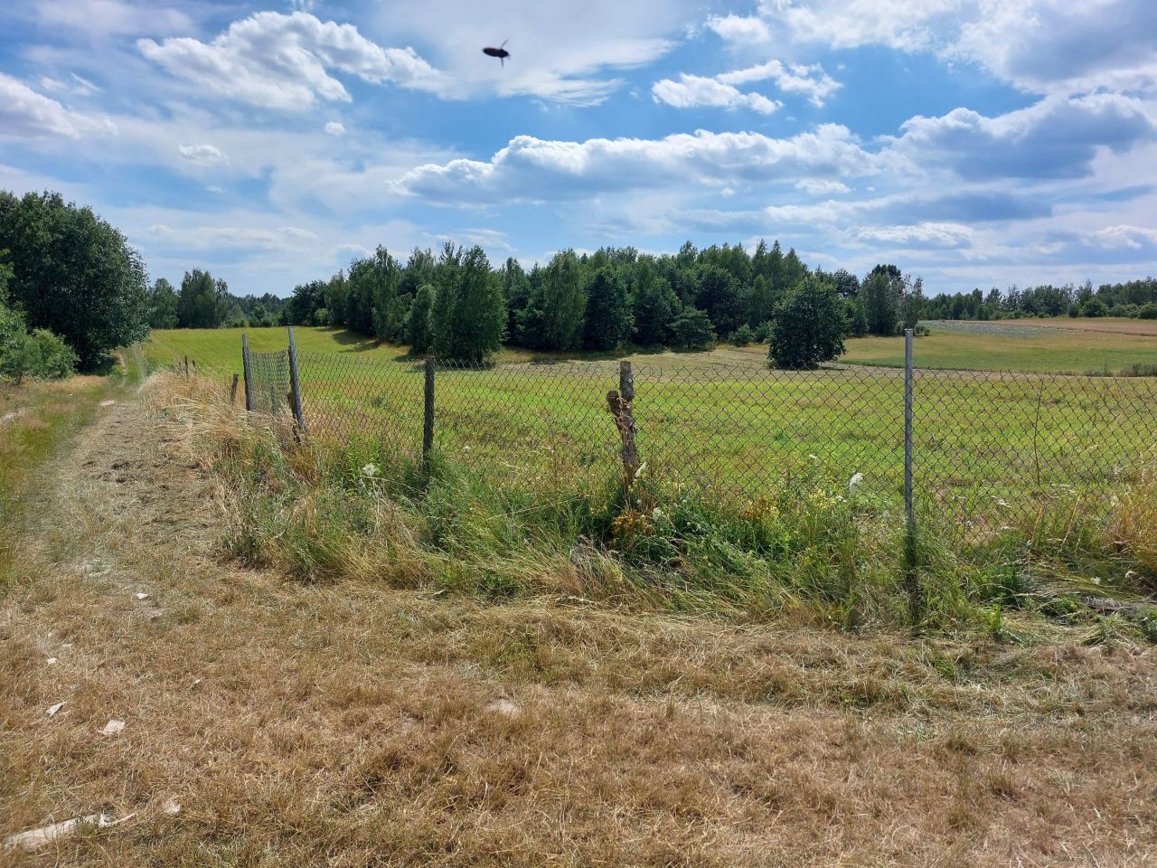 Działka rolna Białki Górne. Zdjęcie 2