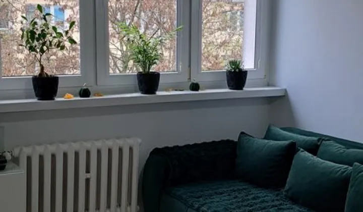 Mieszkanie 3-pokojowe Łódź Dąbrowa, ul. Juliusza Kossaka