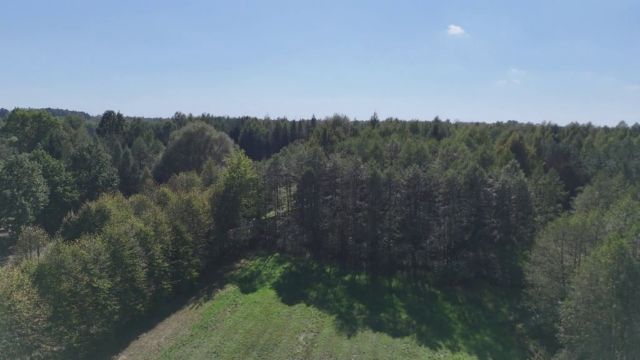 Działka rolna Celinów, ul. Różana. Zdjęcie 7