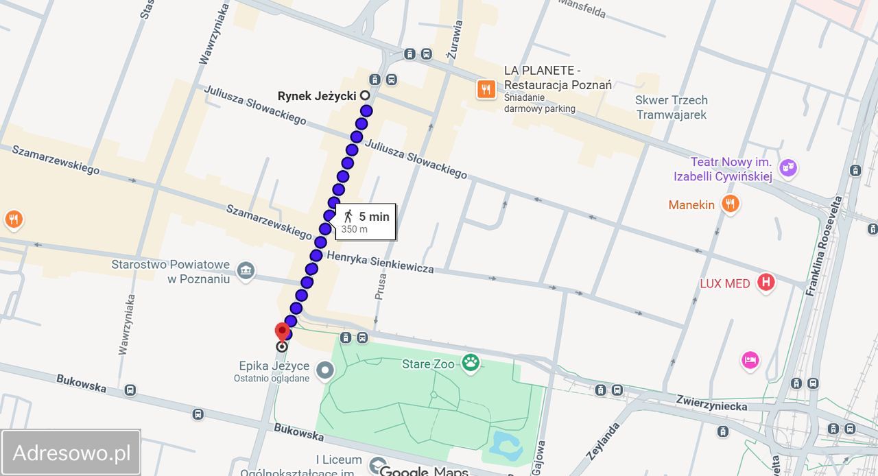 Mieszkanie 1-pokojowe Poznań Jeżyce, ul. Józefa Ignacego Kraszewskiego. Zdjęcie 11