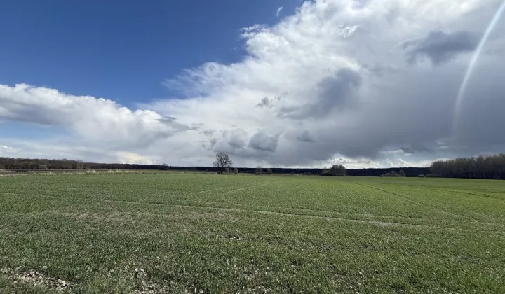 Działka rolna Petryłów