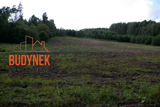 Działka rolna Lejkowo. Zdjęcie 8