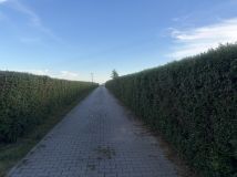 Działka siedliskowa Lublin Zemborzyce, ul. Letniskowa. Zdjęcie 2