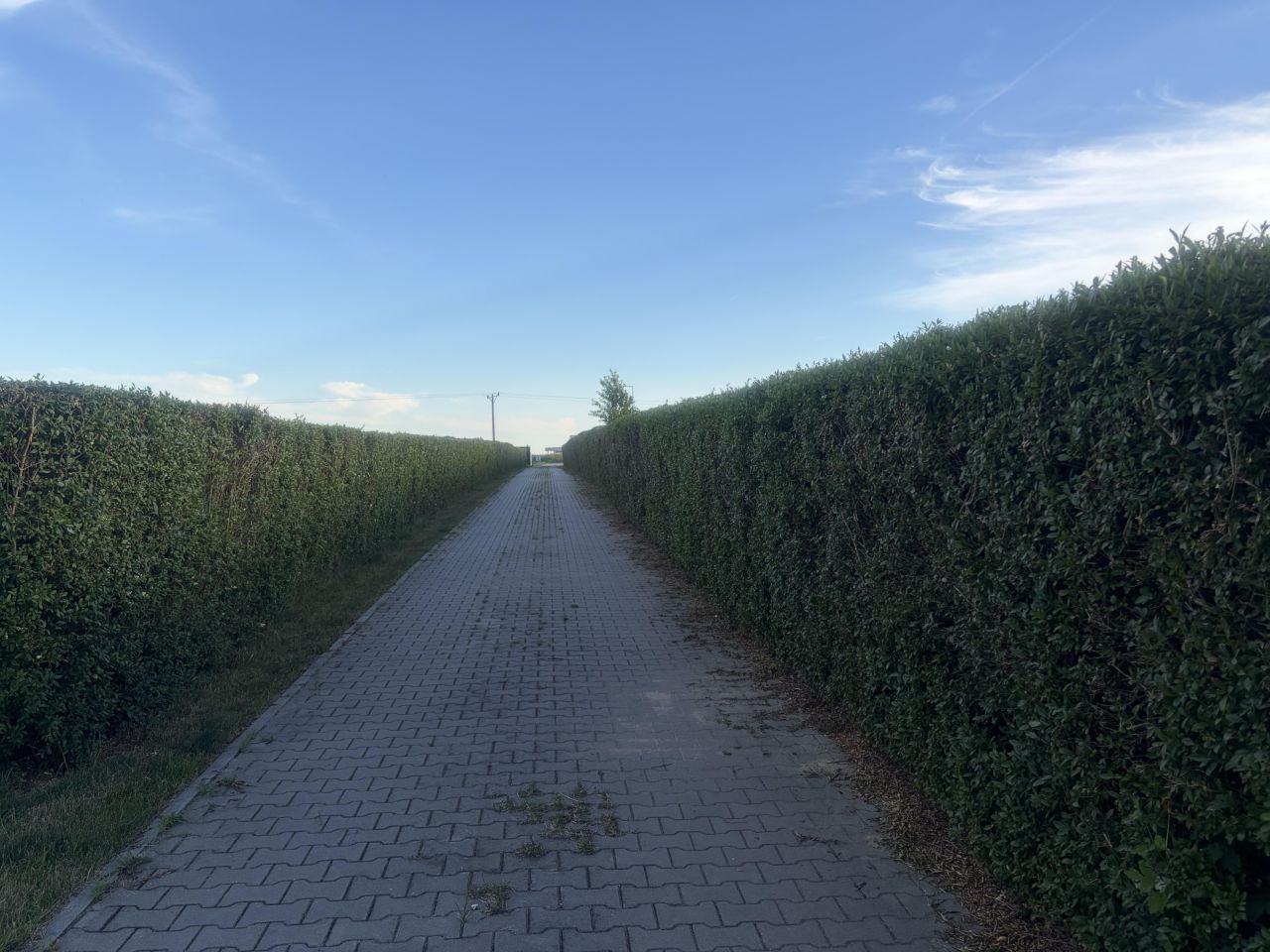 Działka siedliskowa Lublin Zemborzyce, ul. Letniskowa. Zdjęcie 3