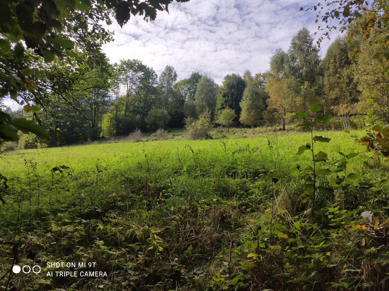 Działka rolno-budowlana Krzyżowa, ul. Buławowa. Zdjęcie 2