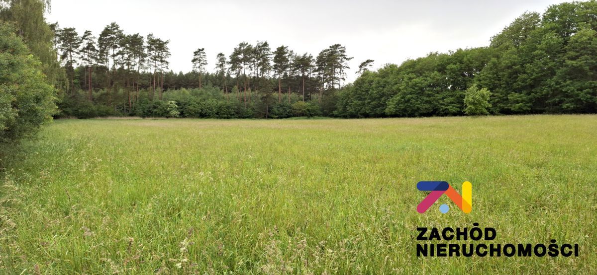 Hala/magazyn Zielona Góra. Zdjęcie 7