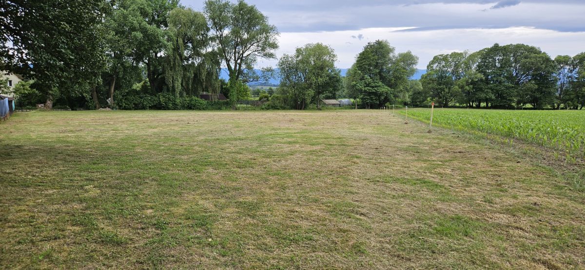 Działka siedliskowa Komarno. Zdjęcie 4