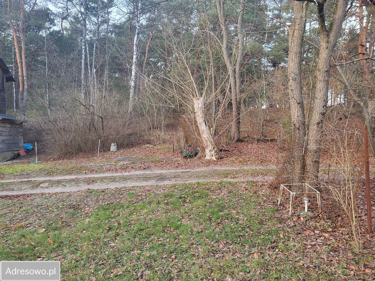 Działka budowlana Józefów, ul. Wiązowska. Zdjęcie 11