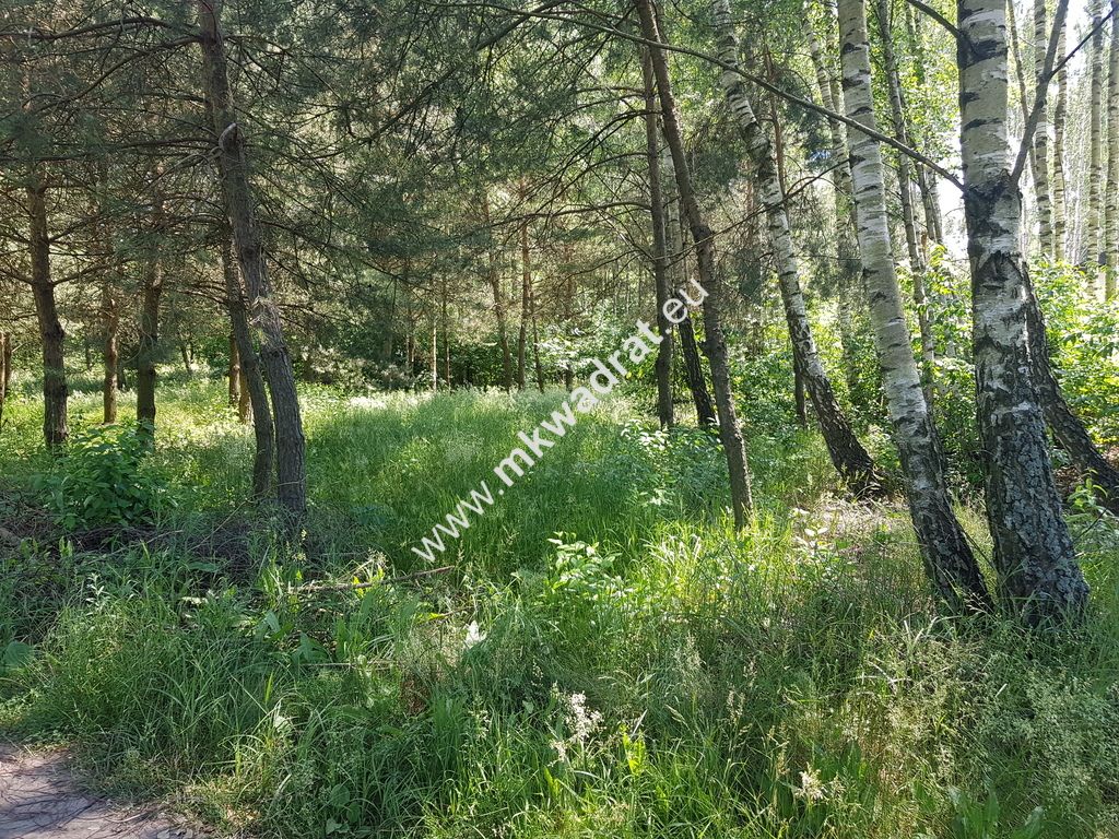 Działka budowlana Kuklówka Radziejowicka, www.mkwadrat.eu. Zdjęcie 3