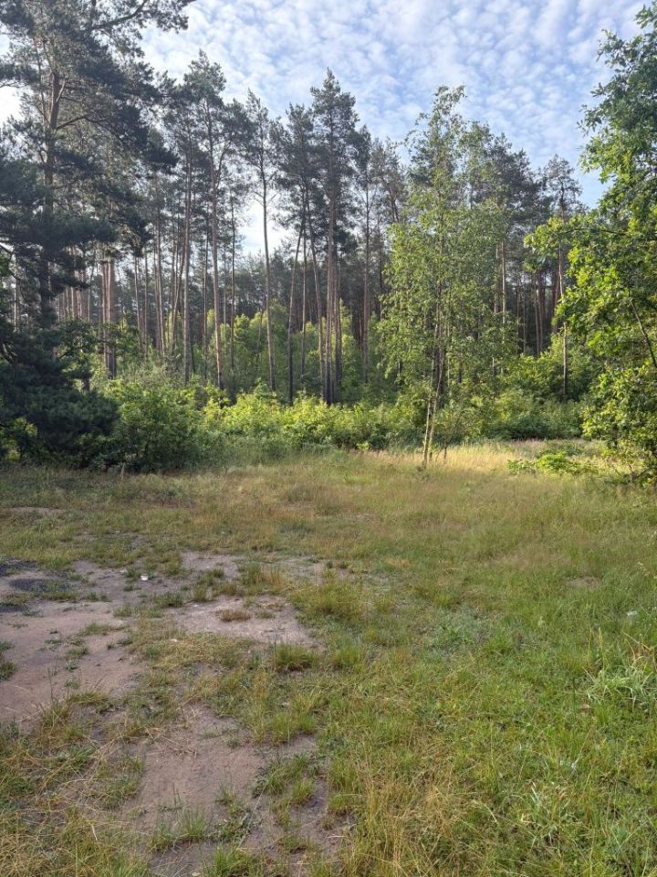 Działka budowlana Olszowe. Zdjęcie 3