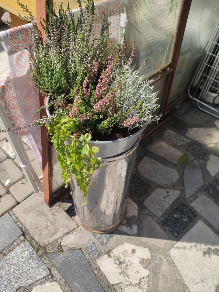 Pokój Kraków Krowodrza, ul. Białe Wzgórze. Zdjęcie 5