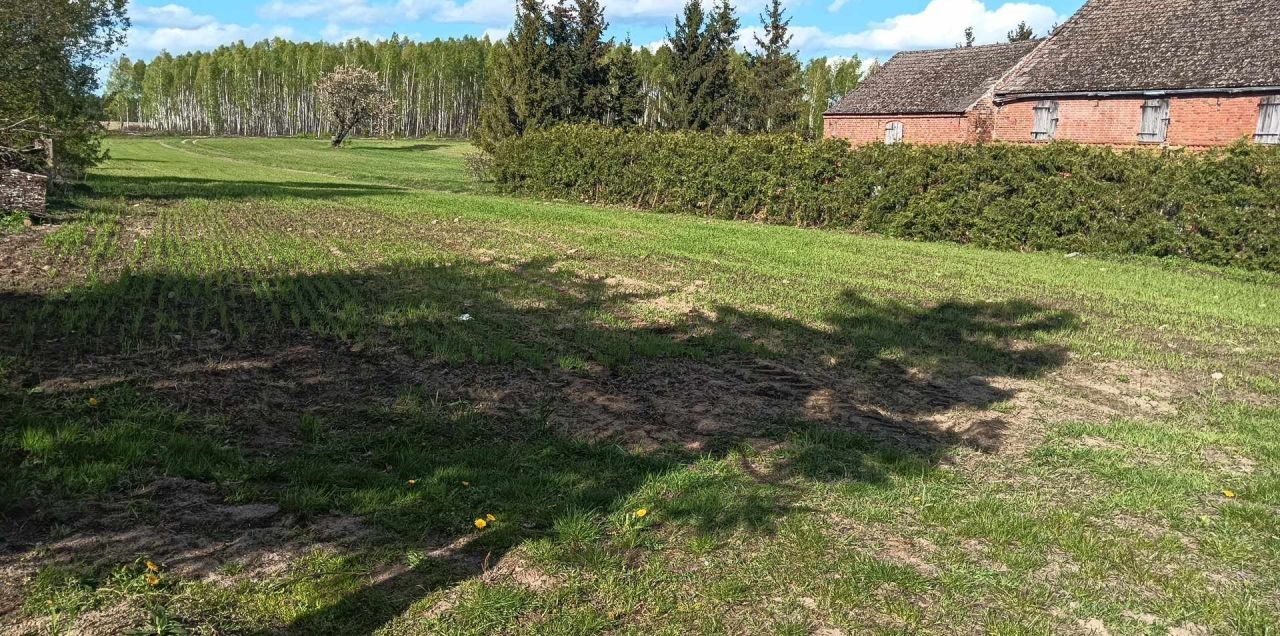 Działka budowlana Drawień. Zdjęcie 2