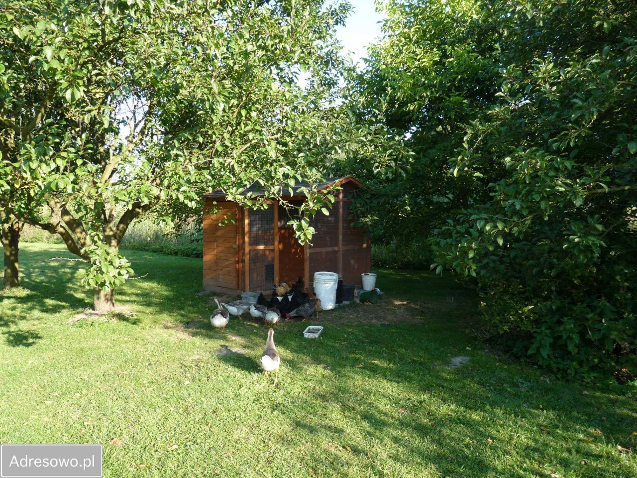 siedlisko, 6 pokoi Gadki. Zdjęcie 9