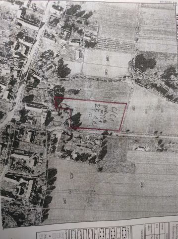 Działka siedliskowa Sikorki. Zdjęcie 1