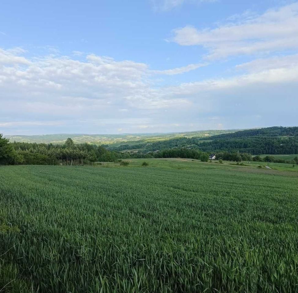 Działka rolna Niedźwiada. Zdjęcie 8