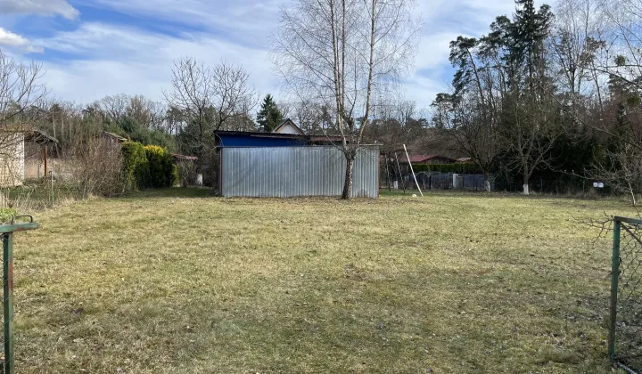 Działka rekreacyjna Sosny