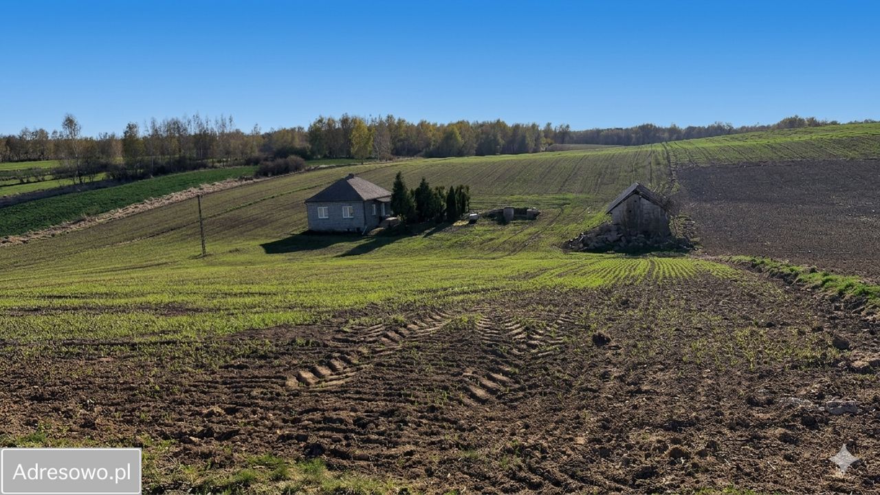 siedlisko, 3 pokoje Źrebce. Zdjęcie 6