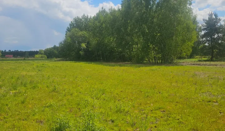 Działka budowlana Stale Siedlisko, ul. Orzechowa