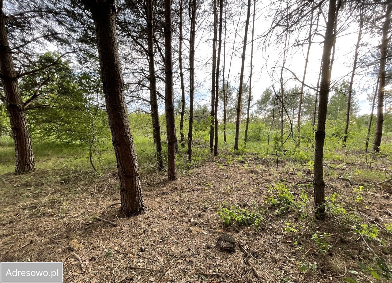 Działka budowlana Łubno. Zdjęcie 6