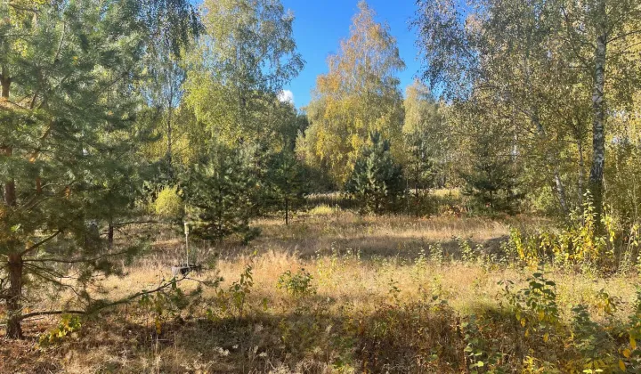 Działka budowlana Żabieniec