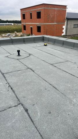 dom wolnostojący, 5 pokoi Zagorzyn. Zdjęcie 4