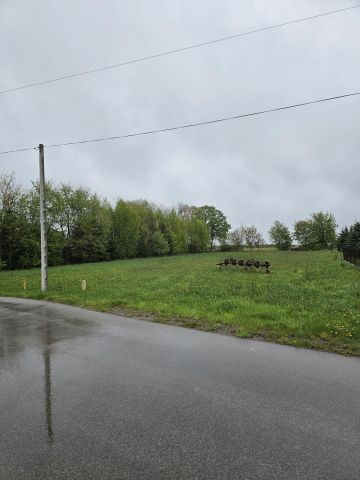 Działka rolna Suchowolce. Zdjęcie 1