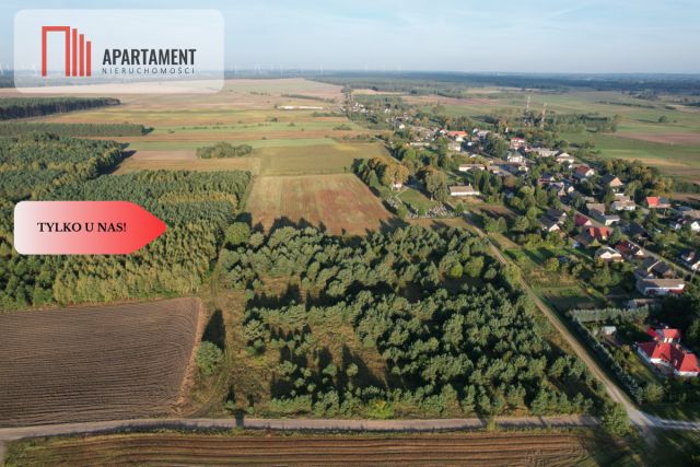 Działka budowlana Brzezie. Zdjęcie 13
