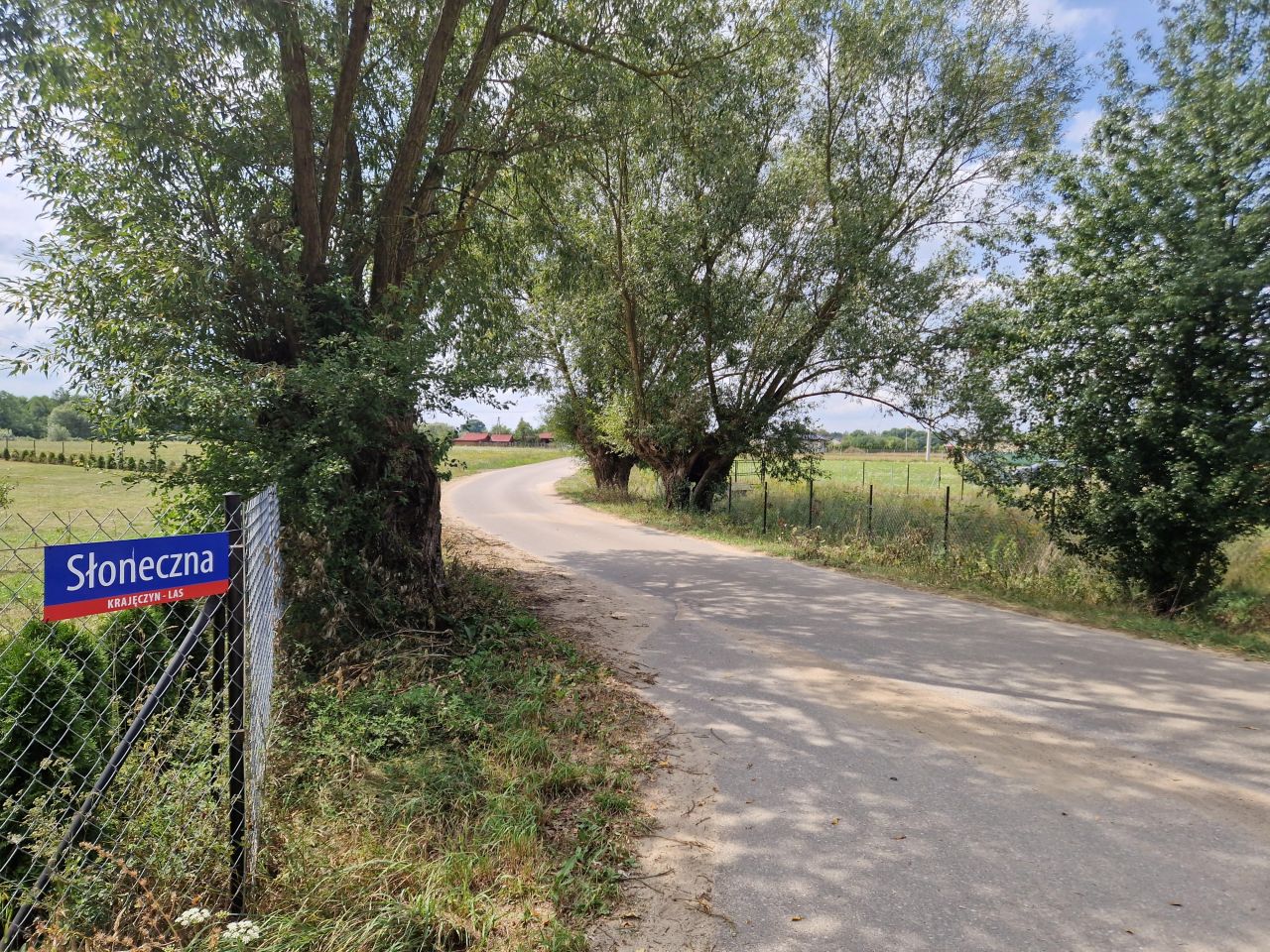 Działka rolna Krajęczyn. Zdjęcie 9