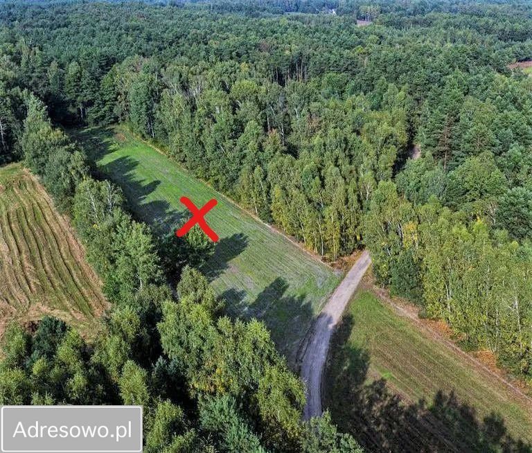 Działka rolno-budowlana Czarna. Zdjęcie 3