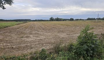 Działka rolna Chojny